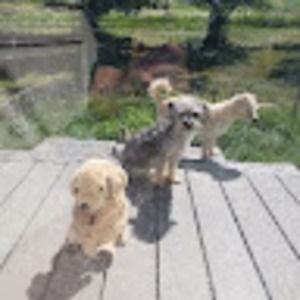 Meet your Posher, Cathy